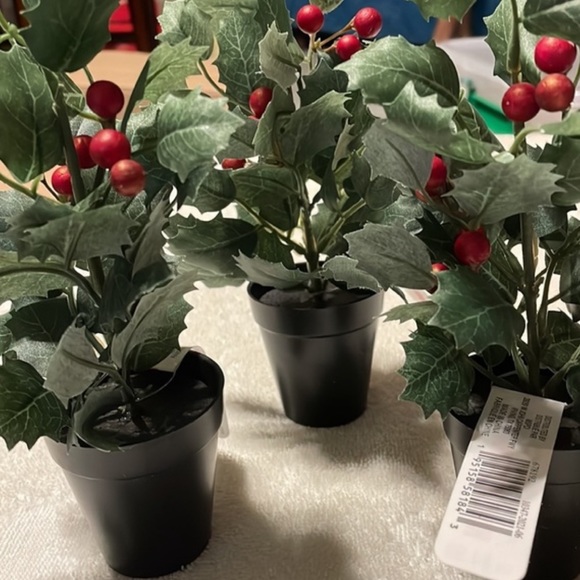 Ashland Mini Holly Berries Potted Plant Artificial - Picture 1 of 10